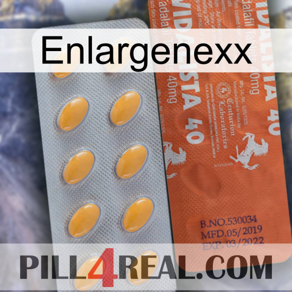 Enlargenexx 43.jpg